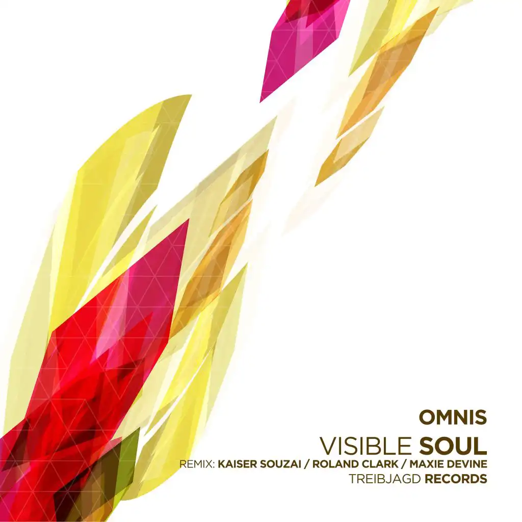 Visible Soul (Roland Clark Remix)