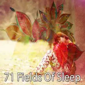 71 Fields of Sleep