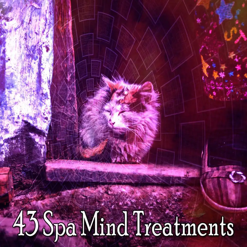 43 Spa Mind Treatments