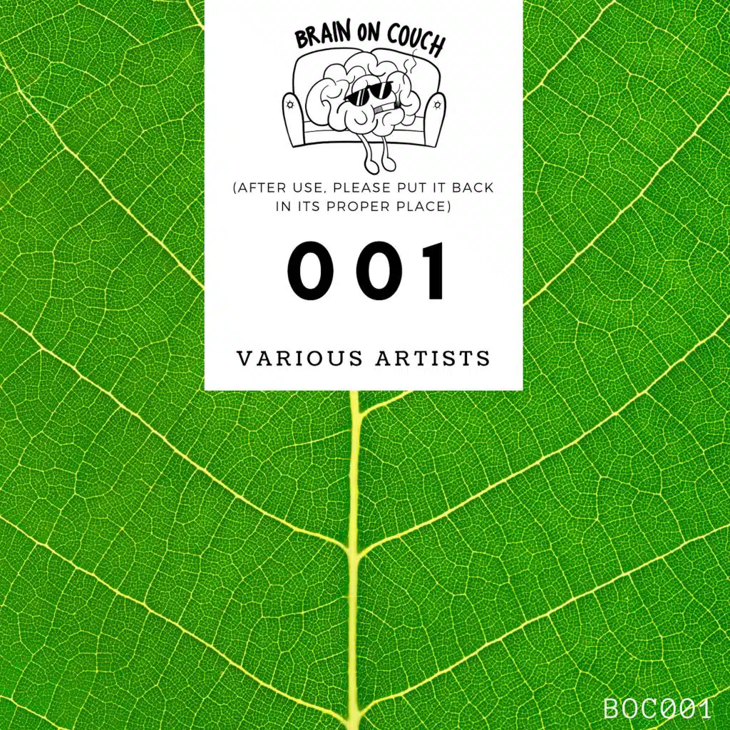 Brain on Couch 001