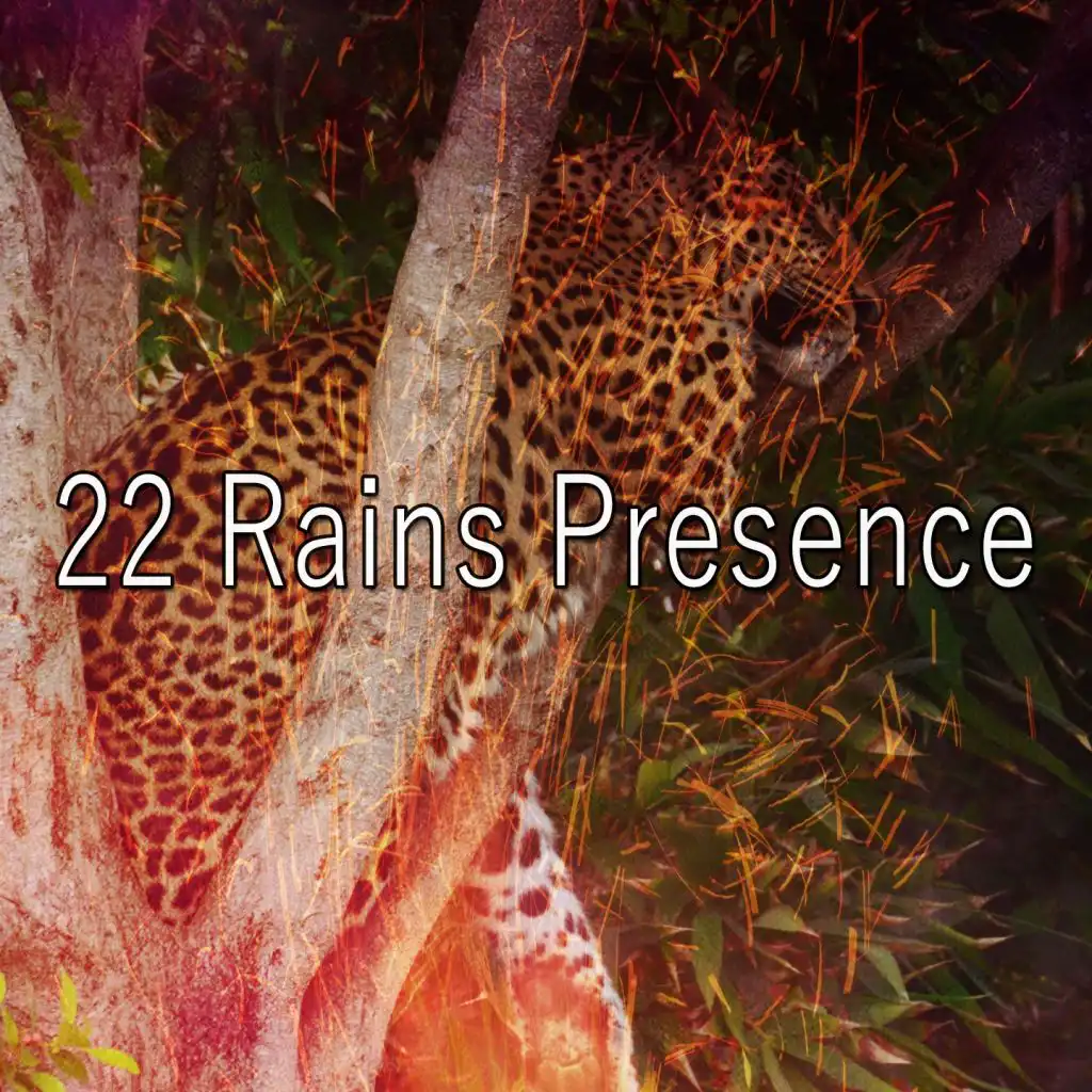 22 Rains Presence