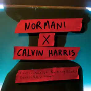 Checklist (with Calvin Harris) [feat. Wizkid]