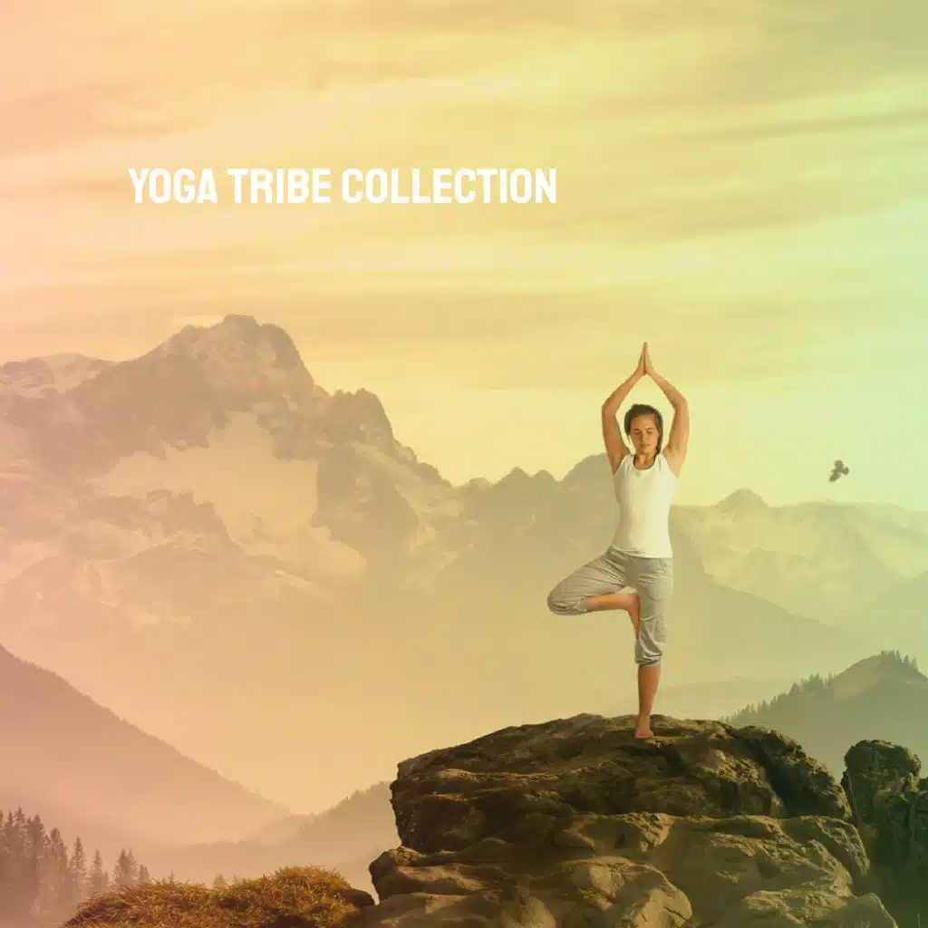Yoga Tribe Collection