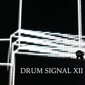 Drum Signal XII