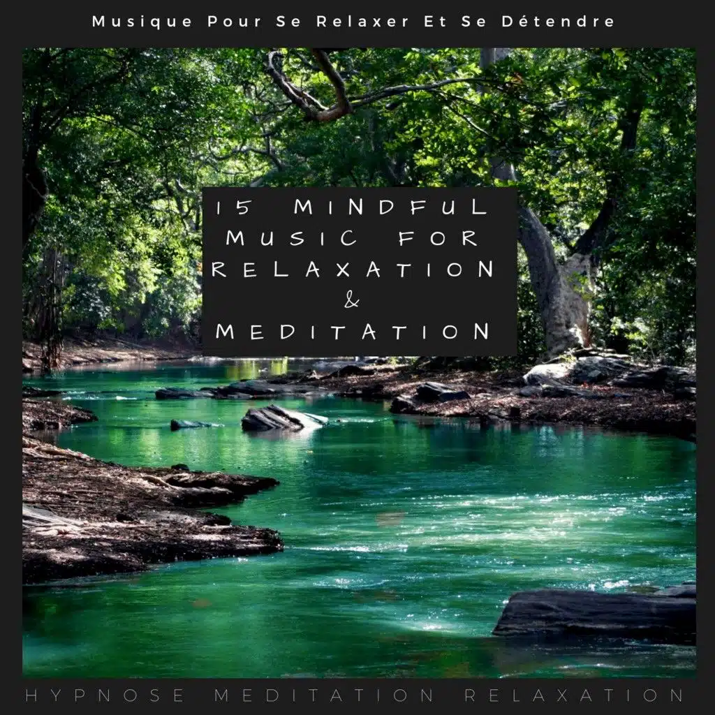 15 Mindful Music for Relaxation & Meditation (Musique Pour Se Relaxer Et Se Détendre)