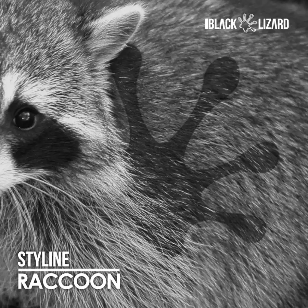 Raccoon (Radio Edit)