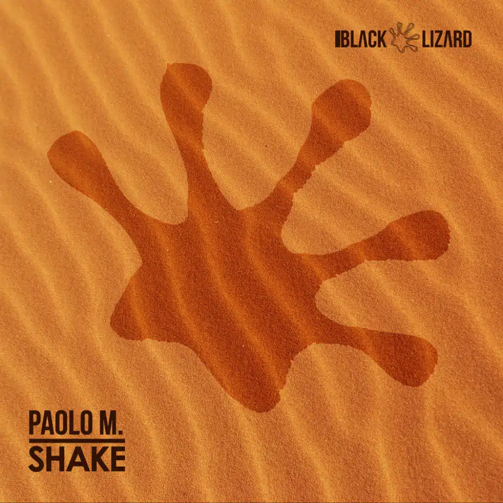 Shake (Radio Edit)