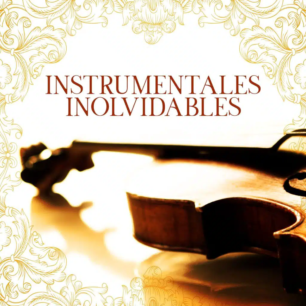 Deja de volverme loca (Instrumental)