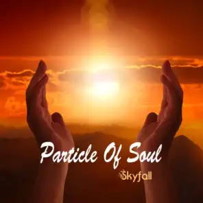 Particle of Soul