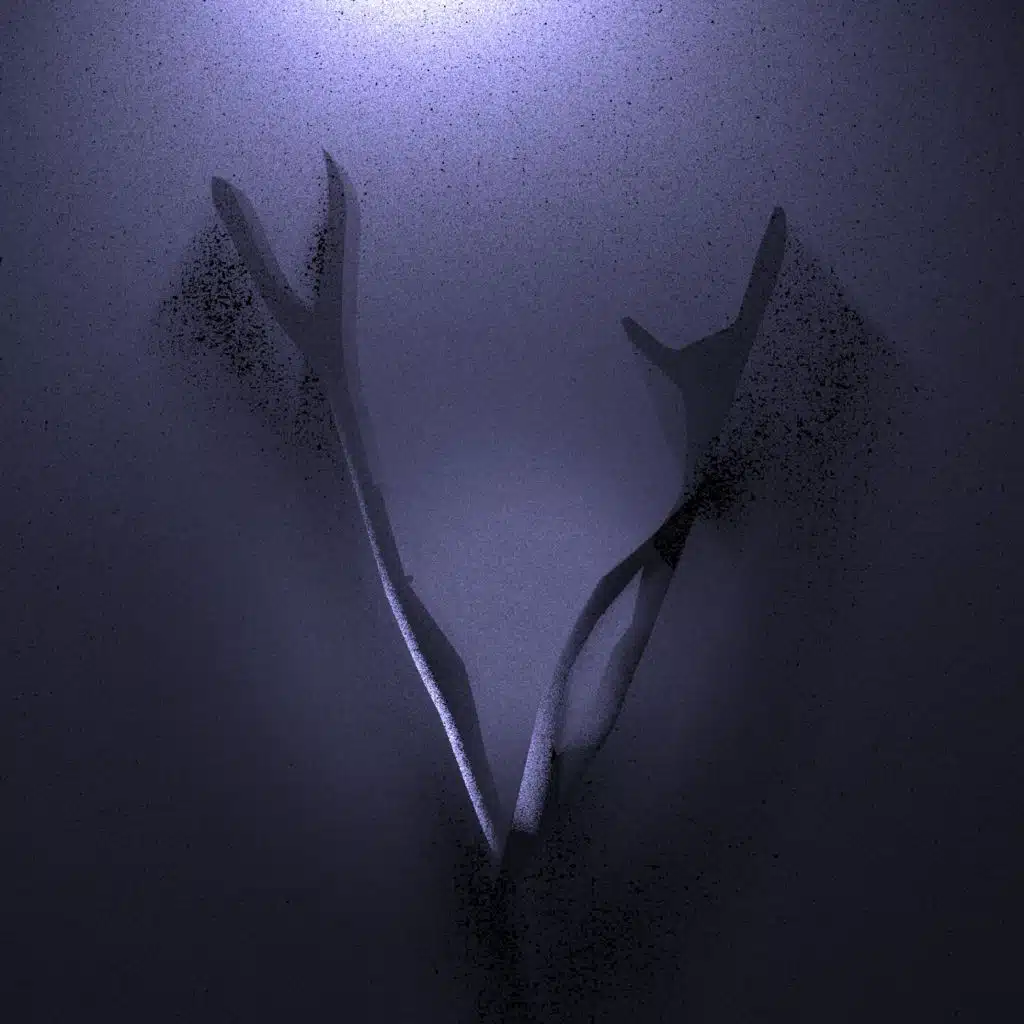 Void