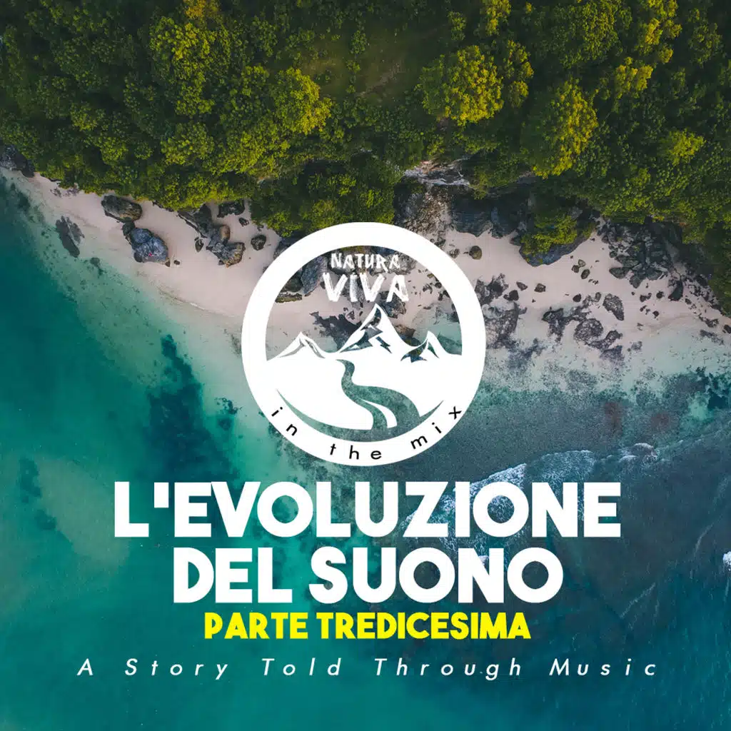 L'Evoluzione Del Suono (Parte Tredicesima)