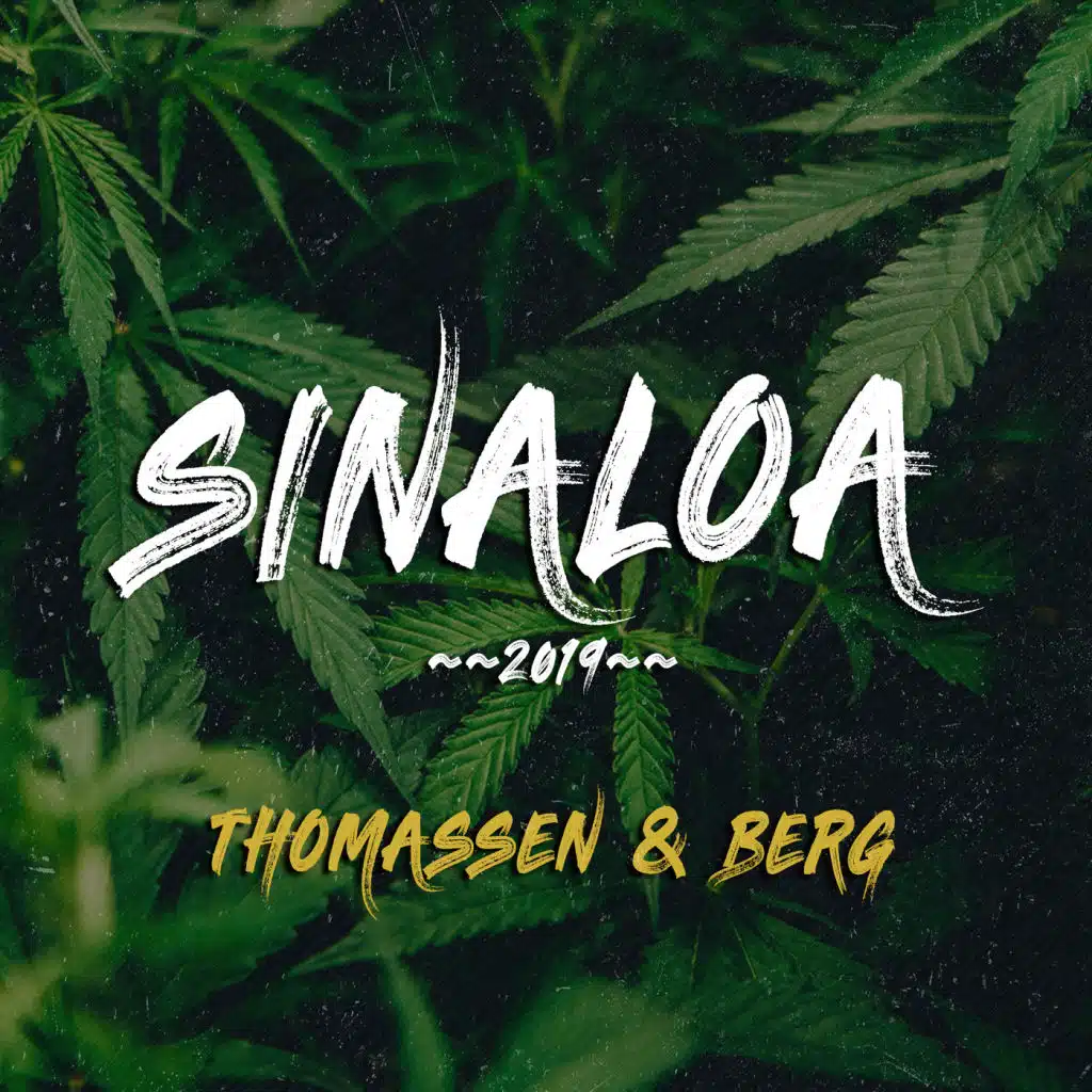 Sinaloa 2019
