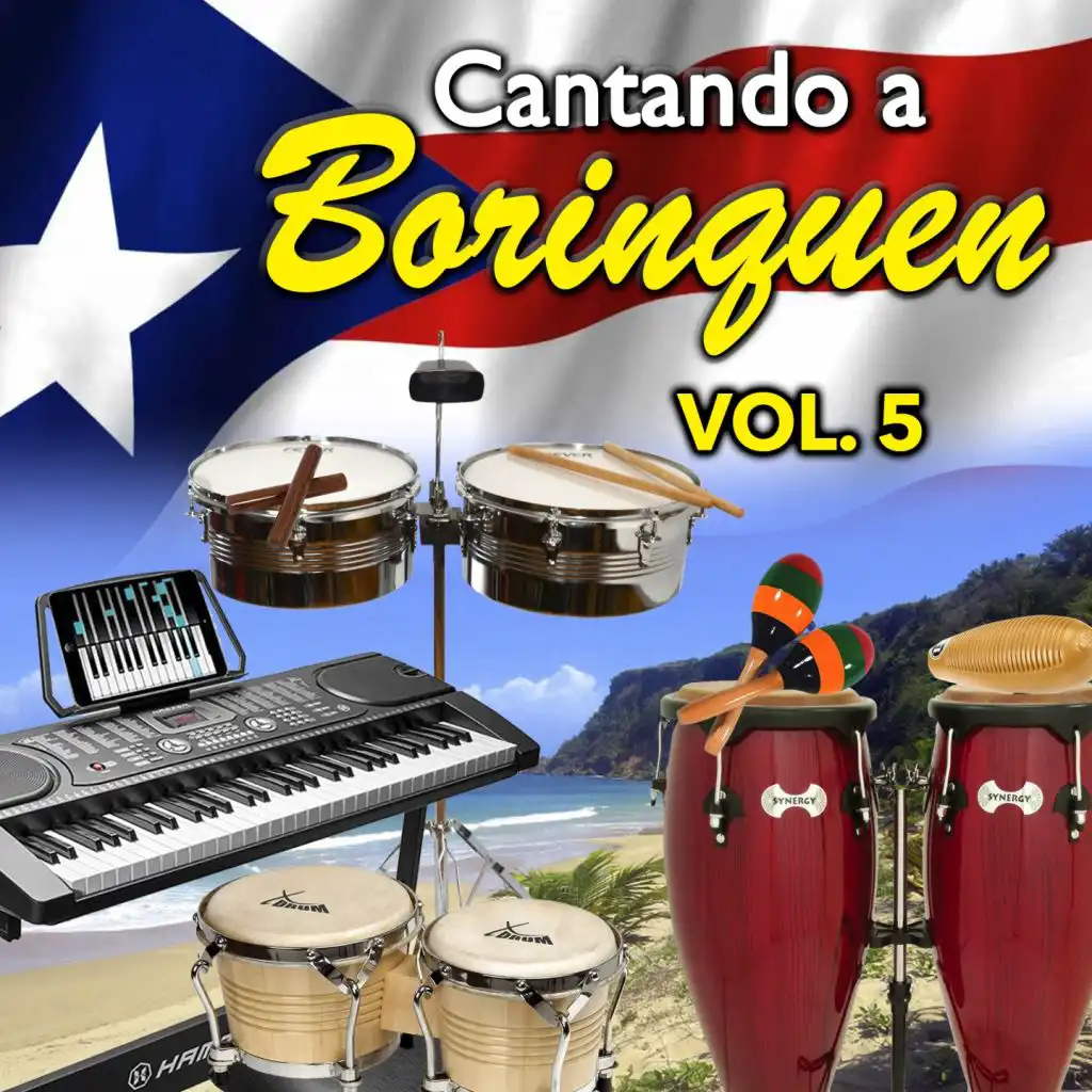 Cantando a Borinquen, Vol. 5