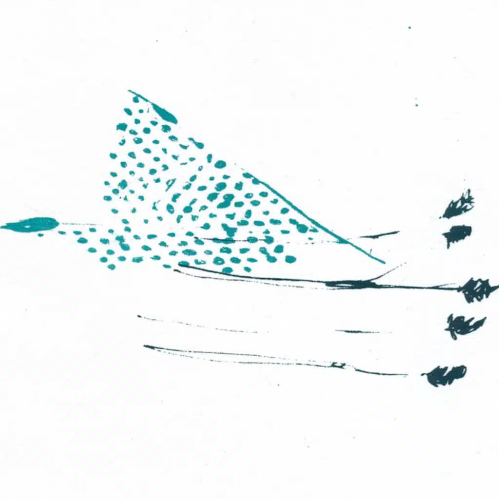 Dualisms (Sebastian Plano Rework)