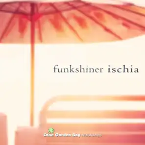 Funkshiner