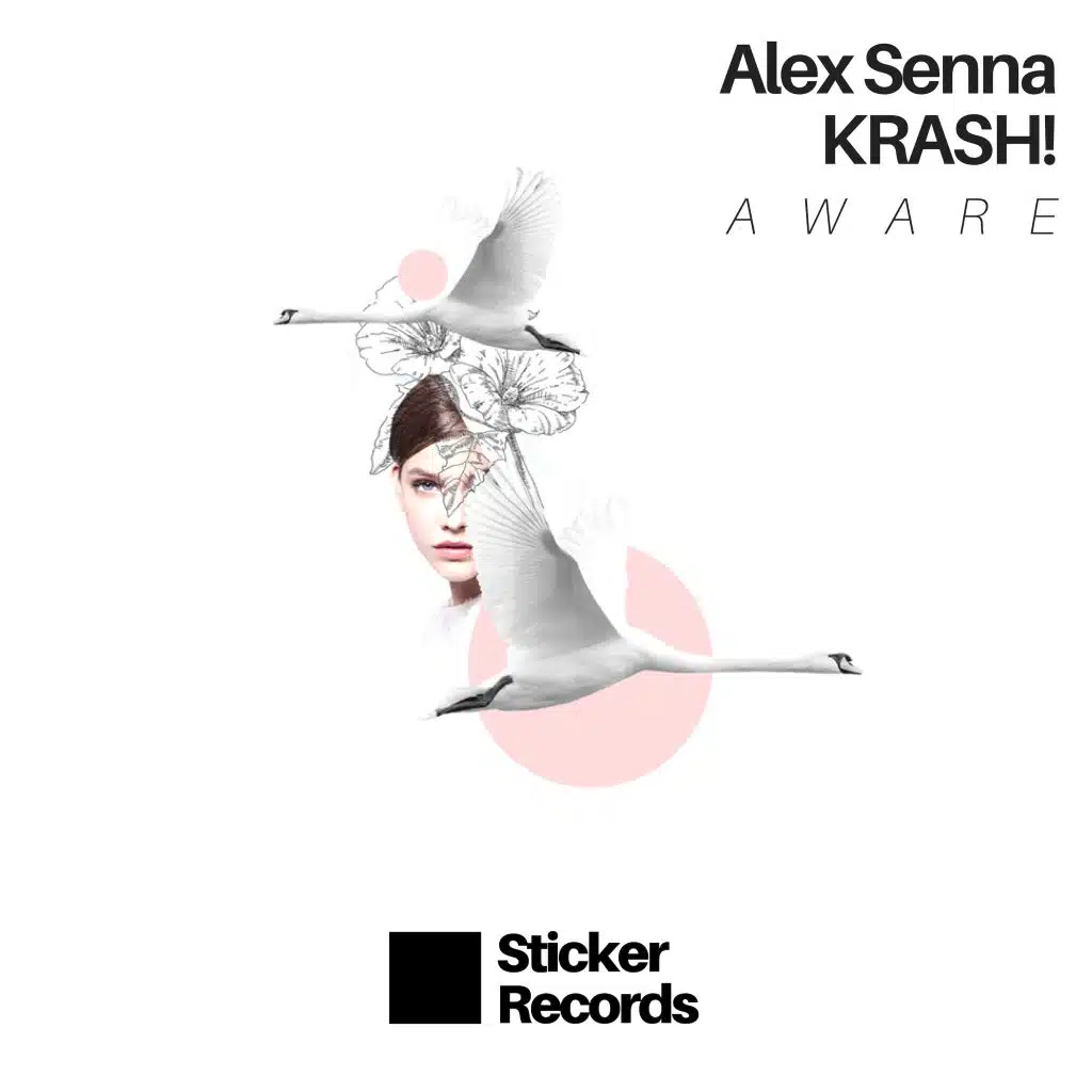 Alex Senna, FlexB, KRASH!, Dazzo