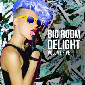 Big Room Delight, Vol. 5