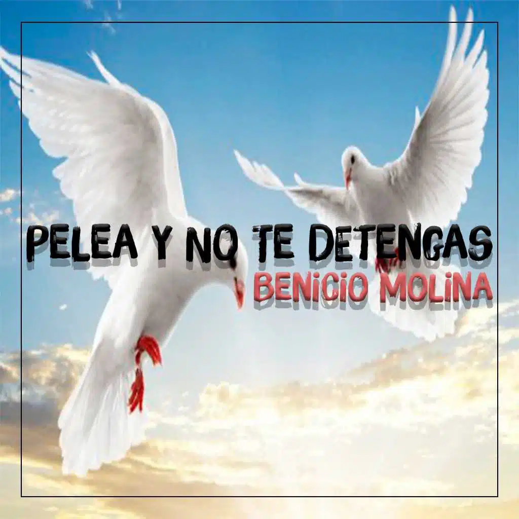 Pelea y No Te Detengas