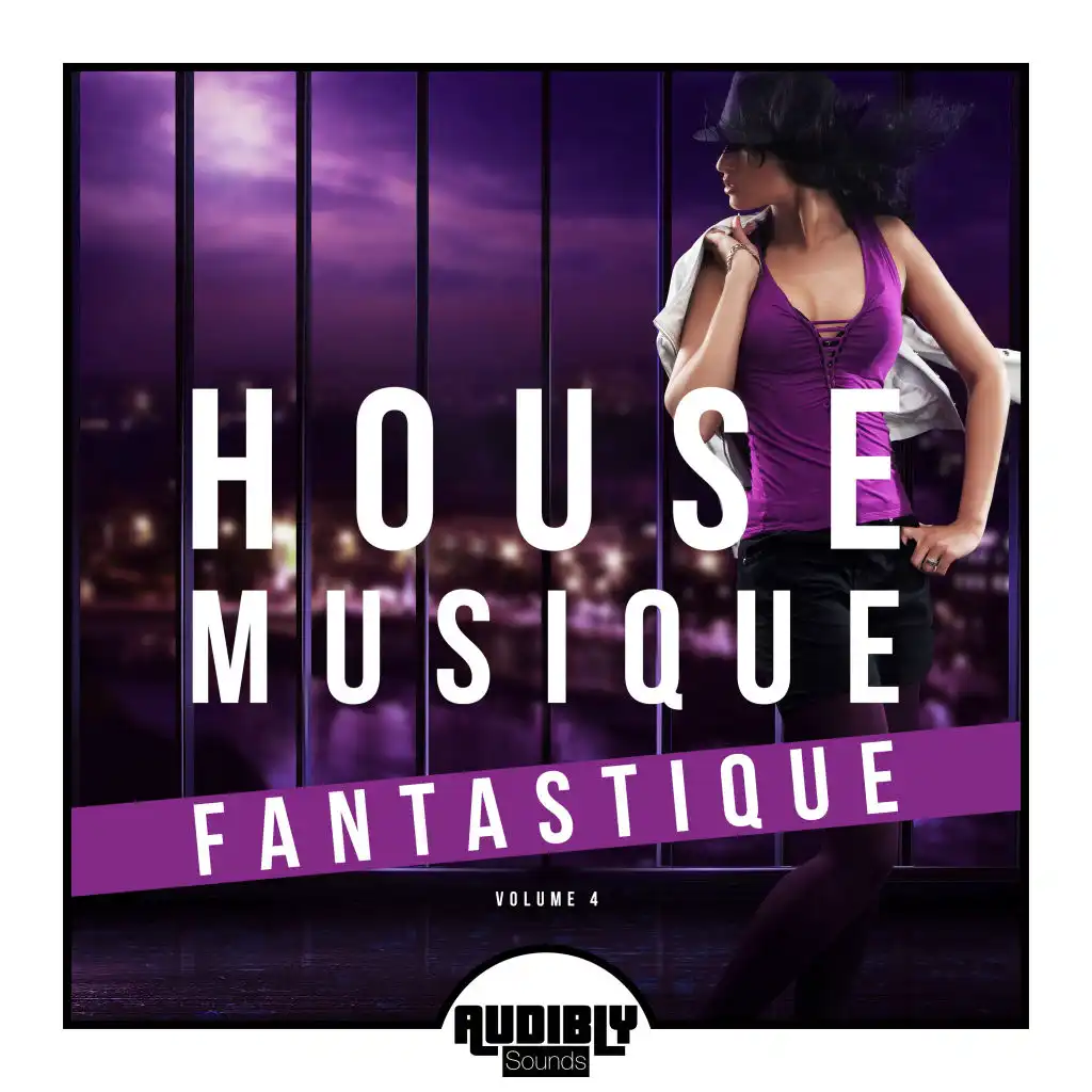 House Musique Fantastique, Vol. 4