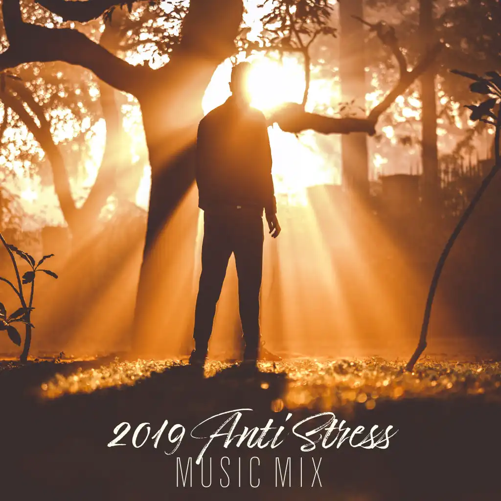 2019 Anti Stress Music Mix