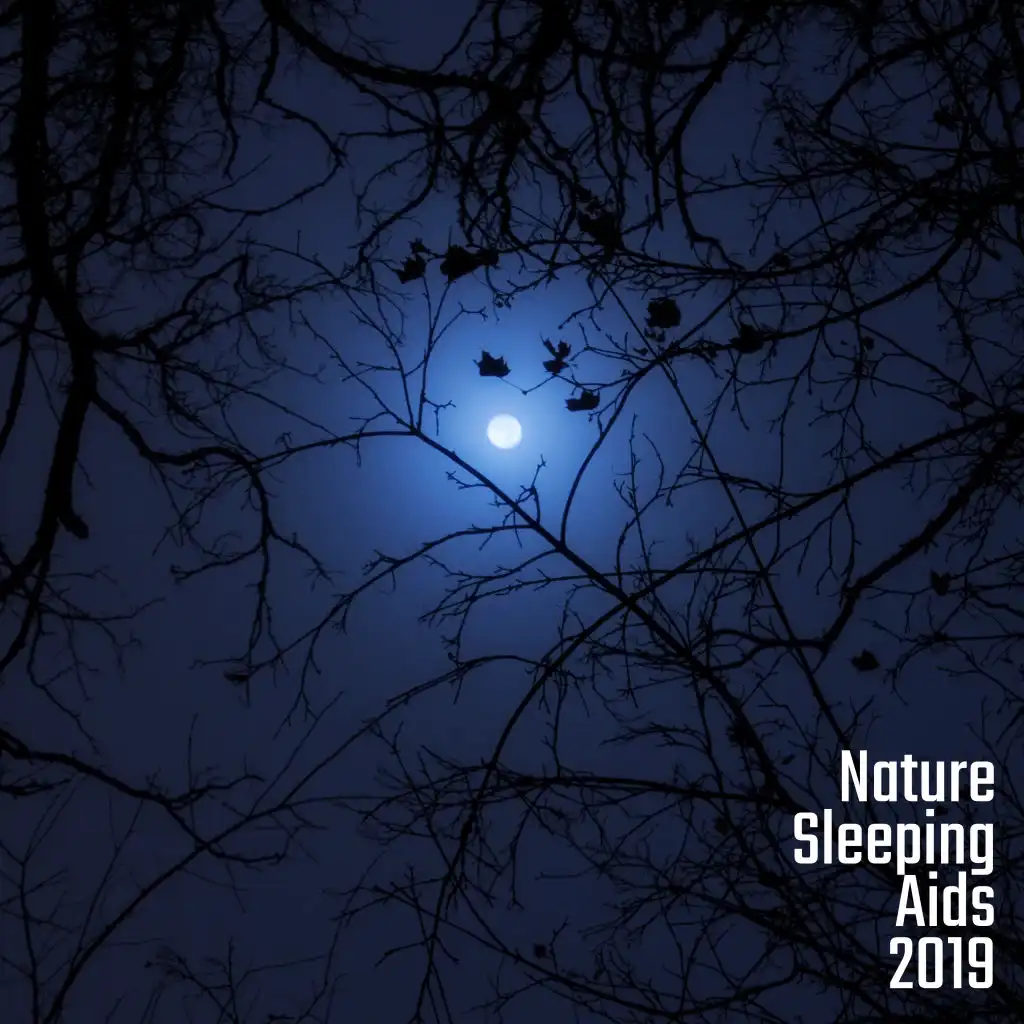 Nature Sleeping Aids 2019: Compilation of Soothing & Fully Relaxing Music with Nature Sounds for Perfect Sleep, Dream Beautiful, Calm Down, Stress Relief