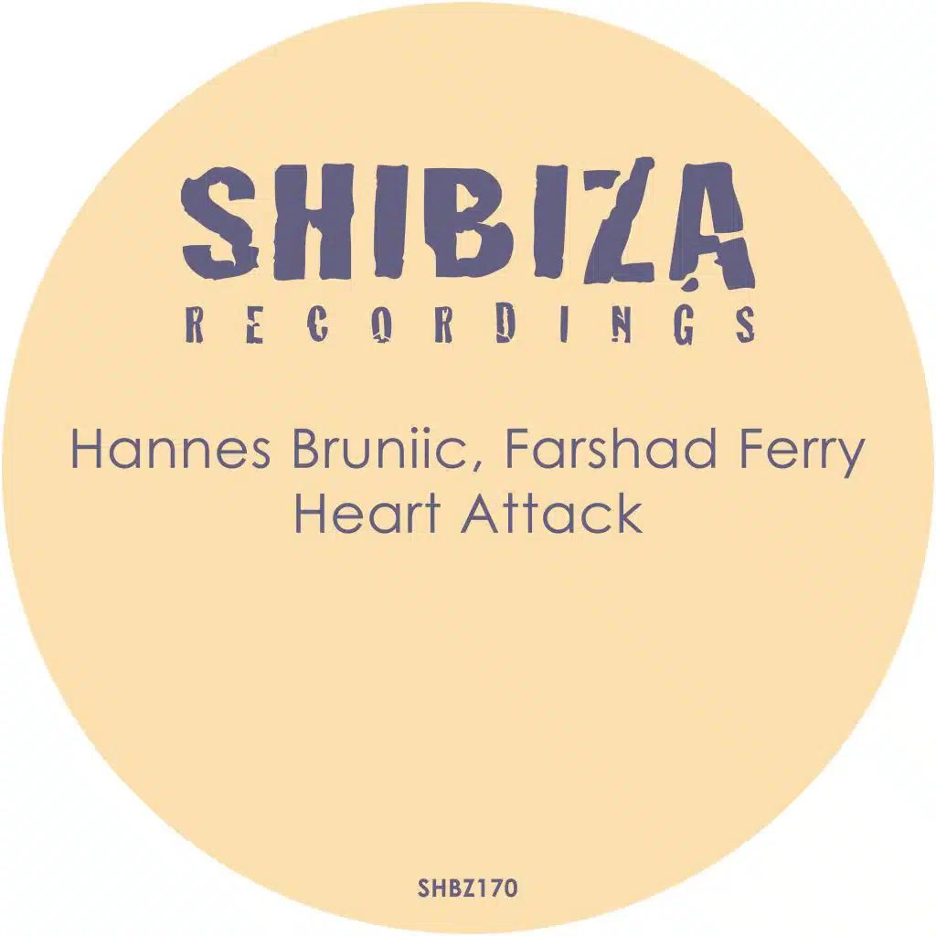 Hannes Bruniic & Farshad Ferry