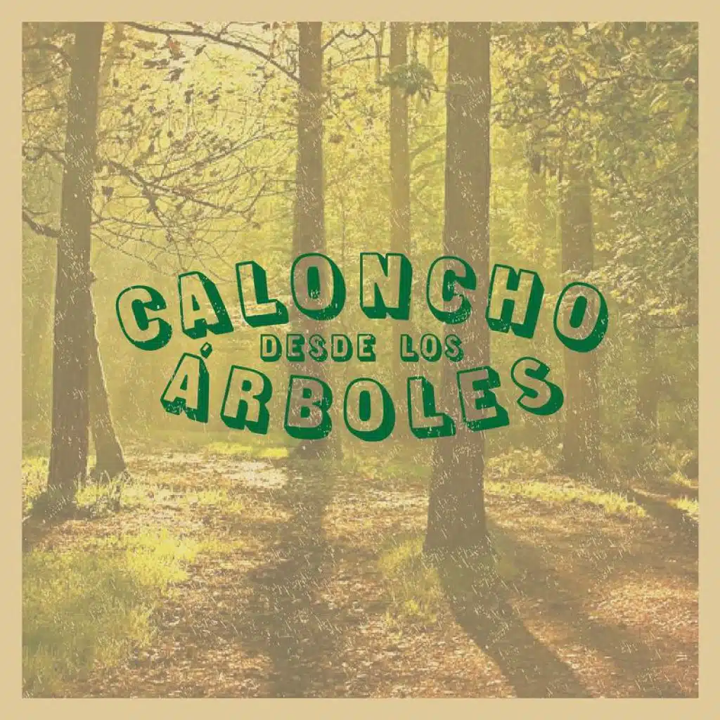 Brillo Mío (En Directo Desde El Desierto)