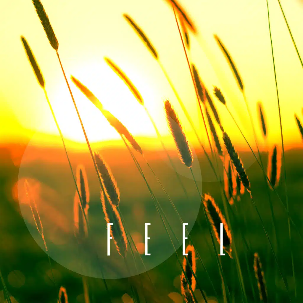 Feel
