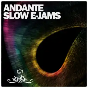 Andante - Slow E-Jams, Vol. 1