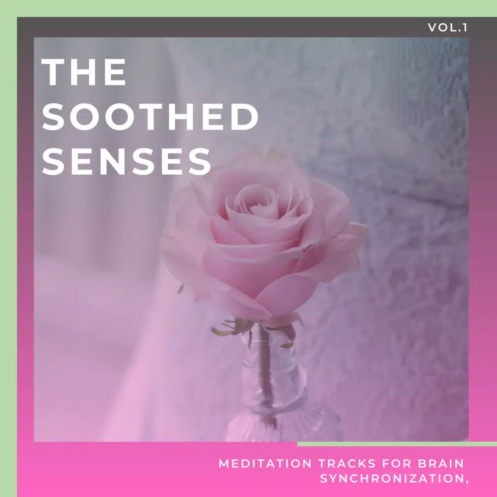 The Soothed Senses - Meditation Tracks For Brain Synchronization, Vol.1