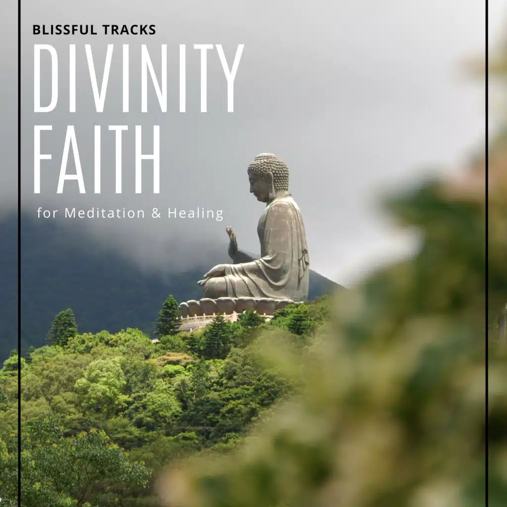 Divinity Faith - Blissful Tracks For Meditation & Healing