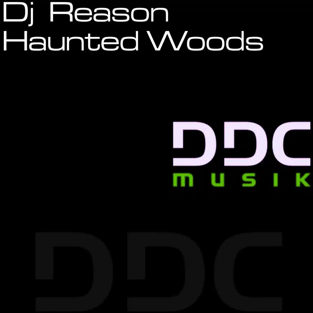 DJ Reason