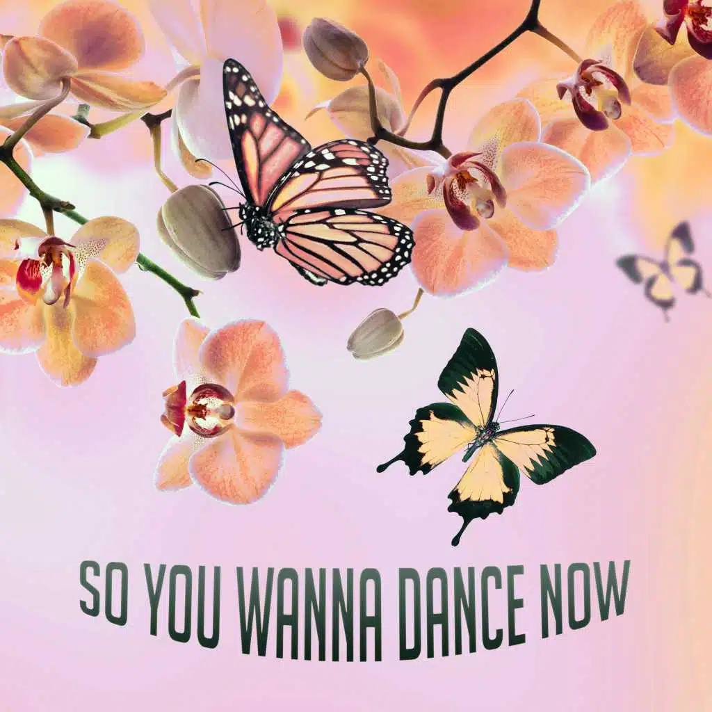 So You Wanna Dance Now