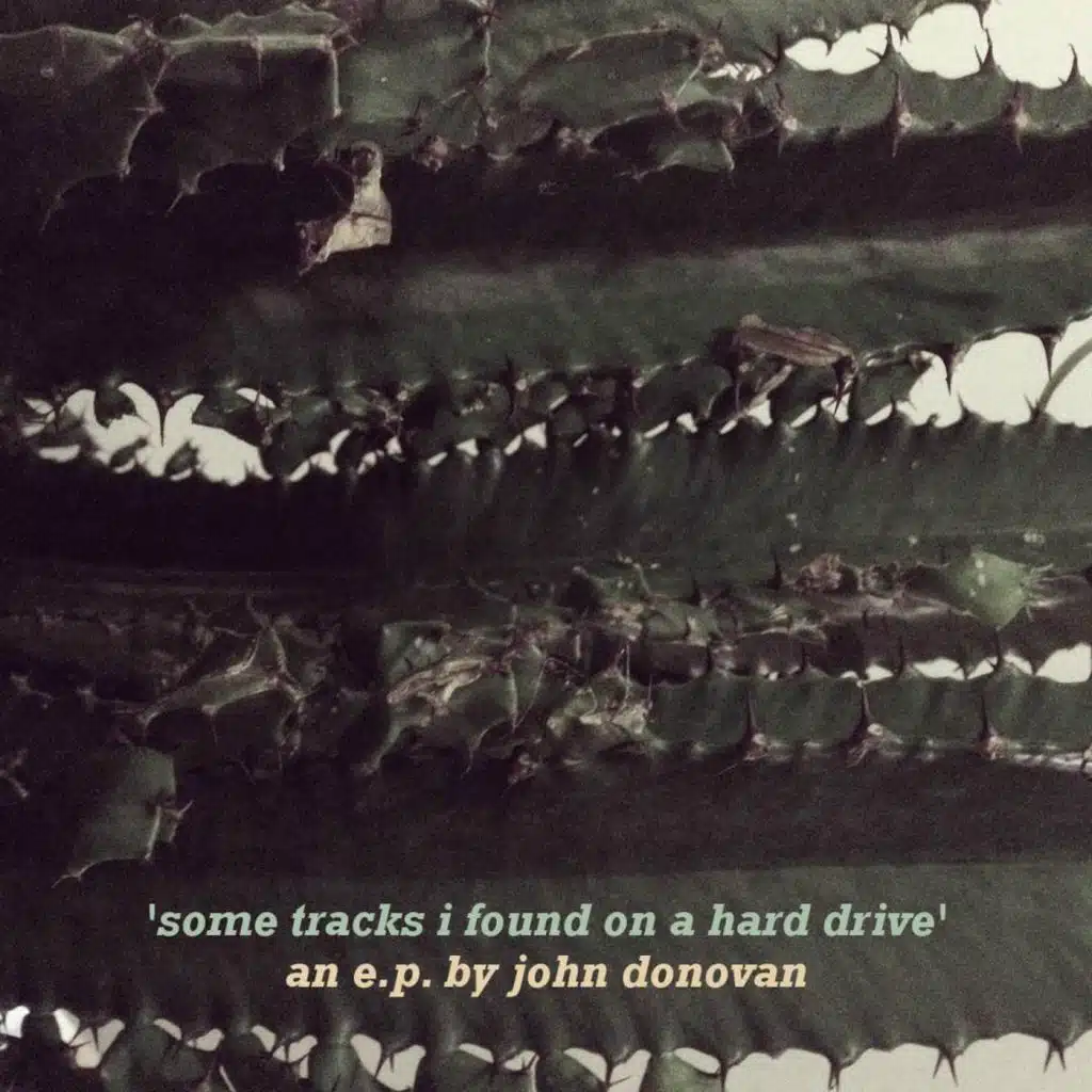 Some Tracks I Found on a Hard Drive EP