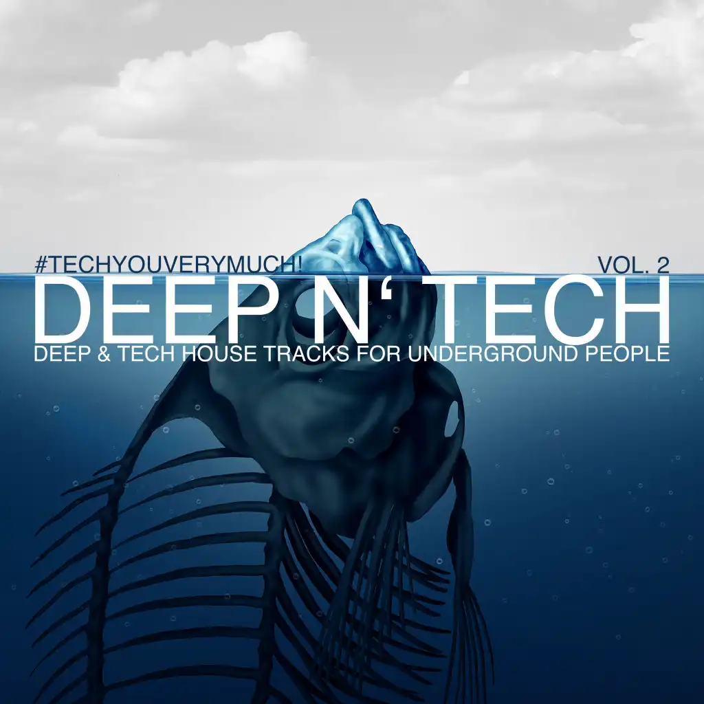 Deep N' Tech, Vol. 2 (Deep & Tech House Tracks for Underground People)
