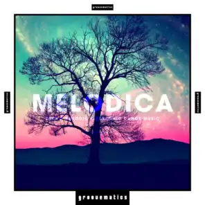 Meridian (Bob The Groove Remix)