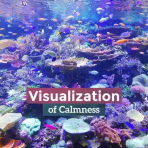 Visualization of Calmness