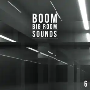 Boom, Vol. 6 - Big Room Sounds