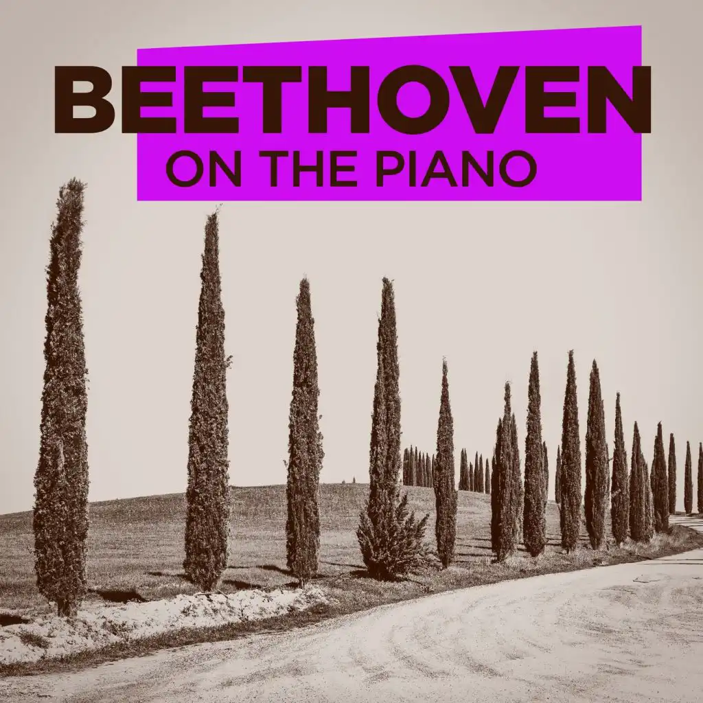 Beethoven On the Piano