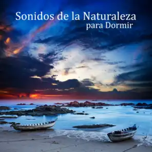 Sonidos de la Naturaleza para Dormir (feat. Modern Detox Chill)