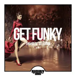 Get Funky (The House Selection), Vol. 4
