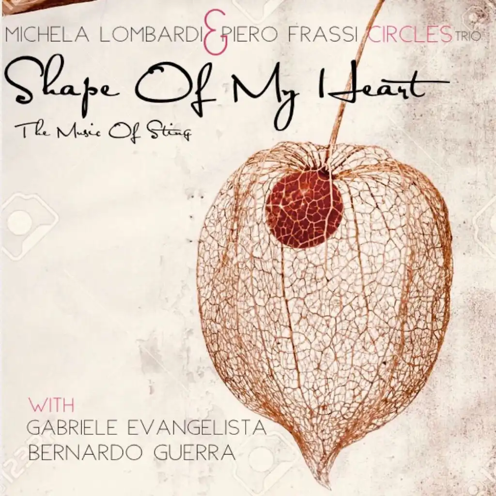 Shape Of My Heart