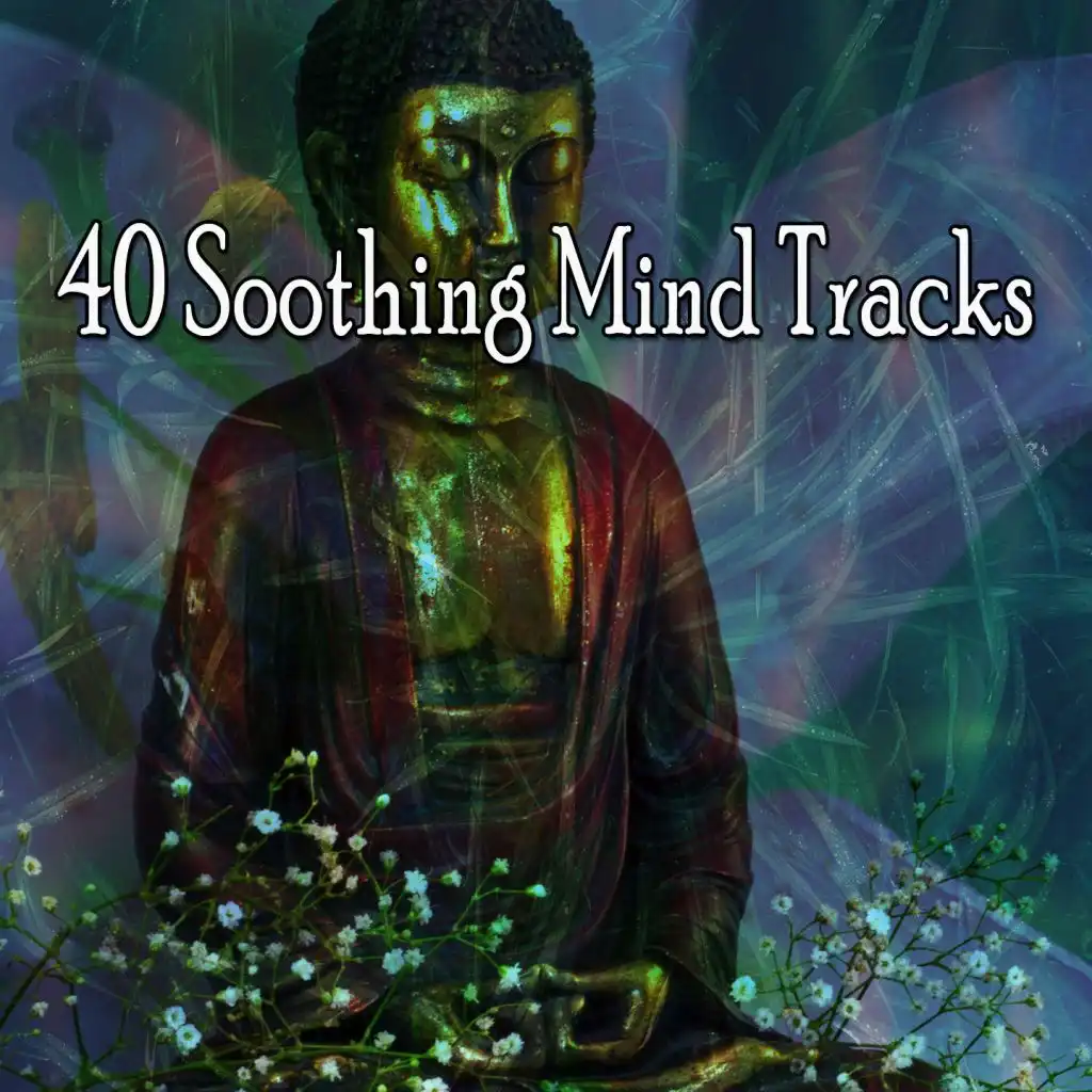 40 Soothing Mind Tracks