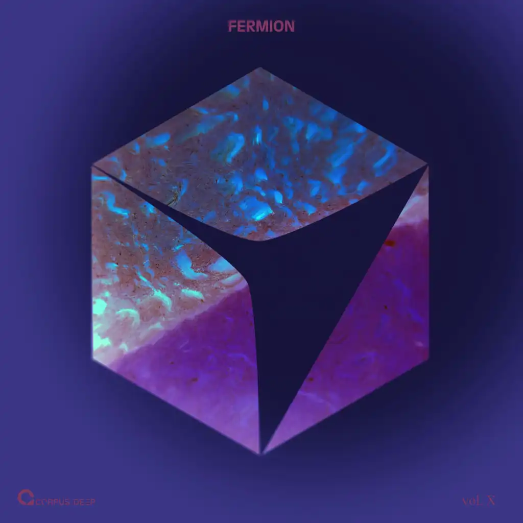 Fermion 10
