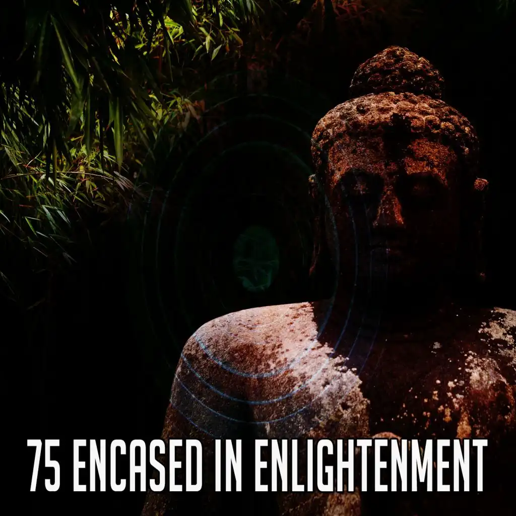 75 Encased in Enlightenment