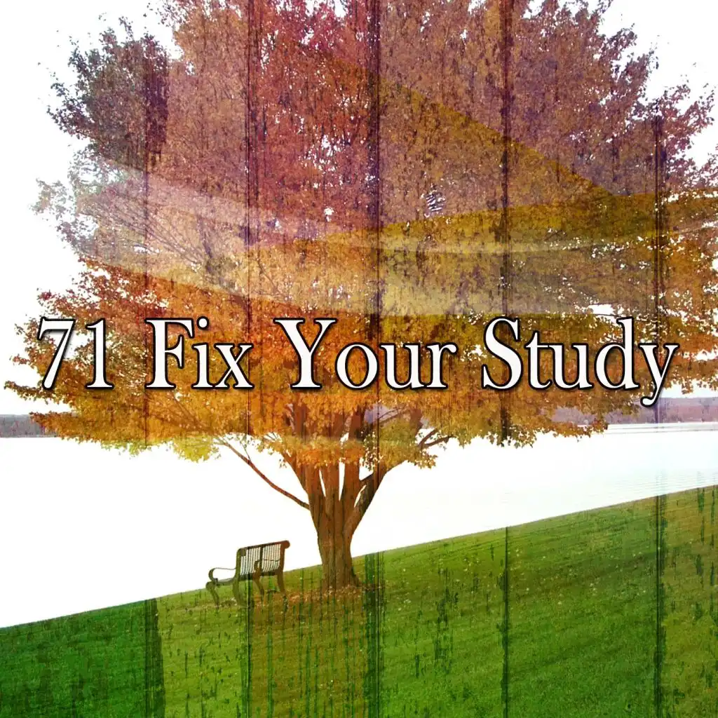 71 Fix Your Study