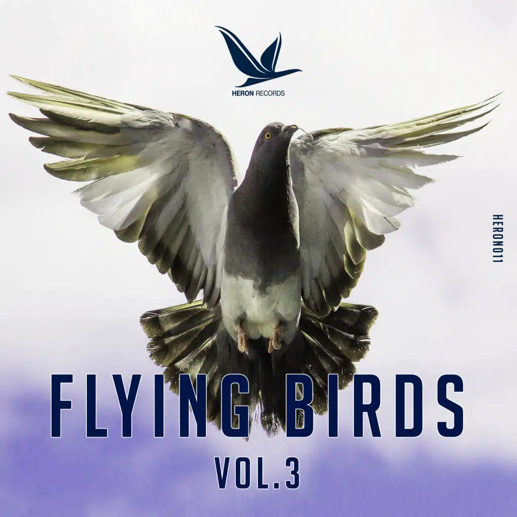 Flying Birds, Vol. 3