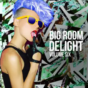 Big Room Delight, Vol. 6