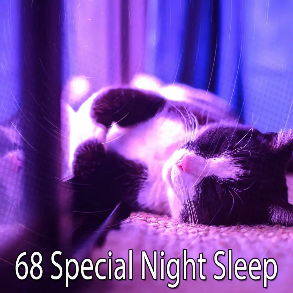 68 Special Night Sleep