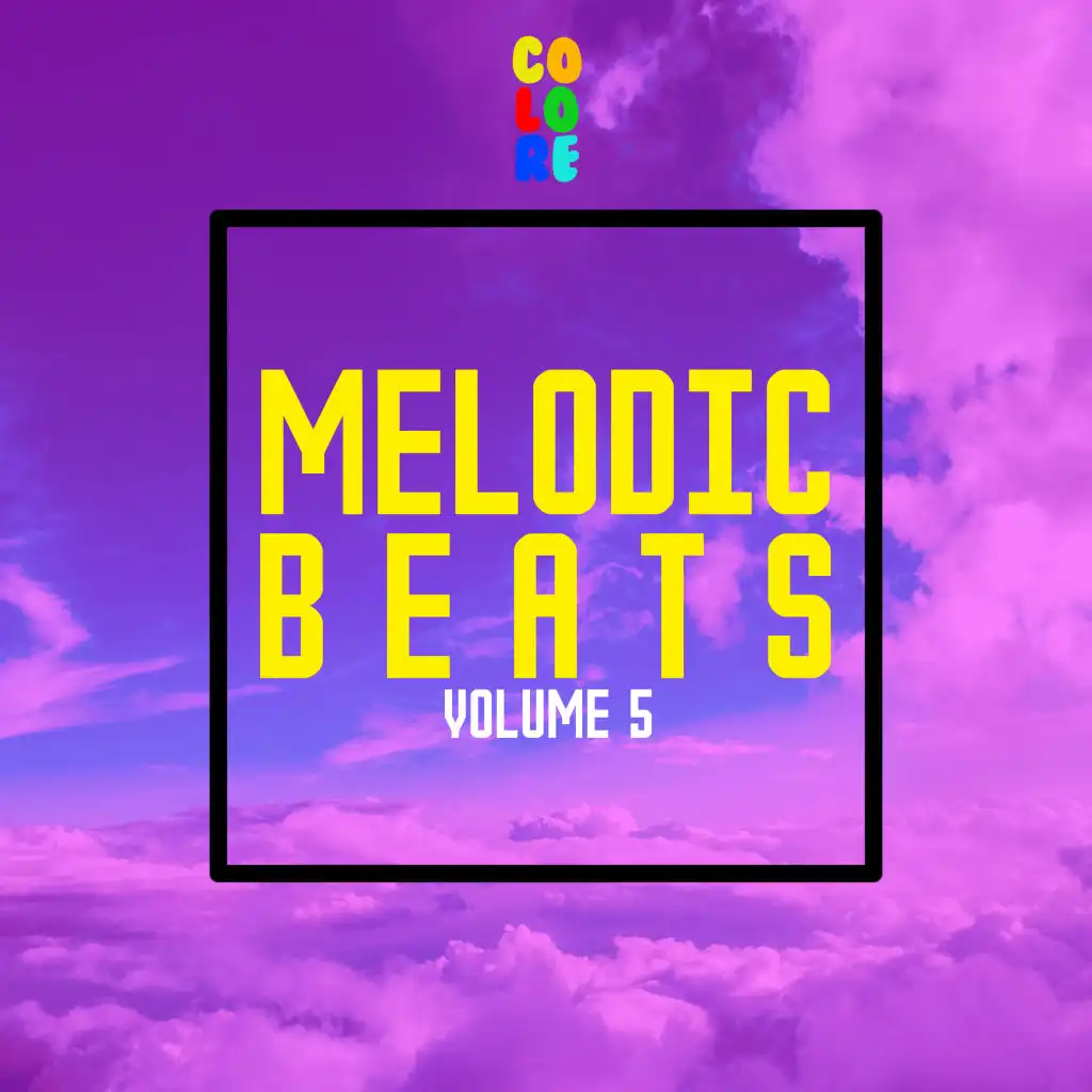 Melodic Beats, Vol. 5